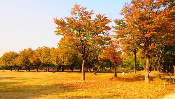 온라인 커뮤니티