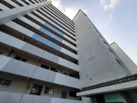 아파트 외벽은 페인트칠도 벗겨져있고 군데군데 갈라져 있었다. /사진=신유진 기자