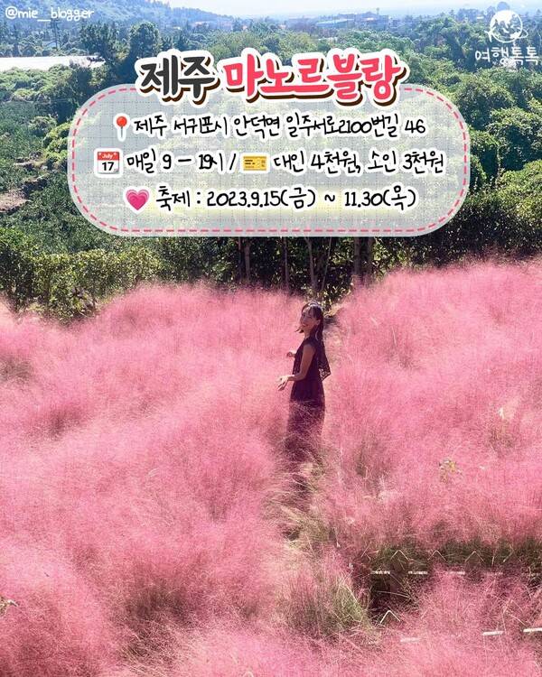 핑크뮬리 명소 추천 / ⓒ여행톡톡