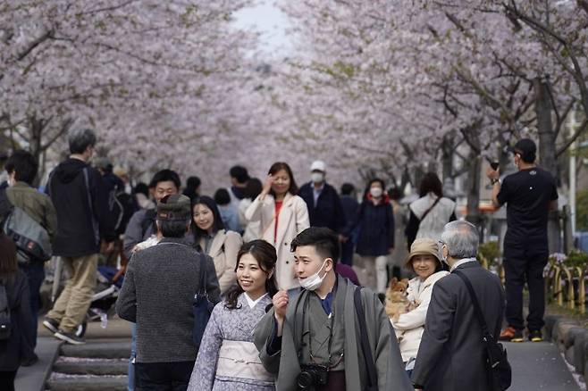 日 젊어지나...65세 이상 인구 73년만 첫 감소,