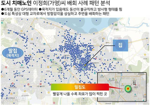 그래픽 = 강준구 기자