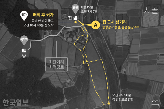 그래픽 = 한규민 기자