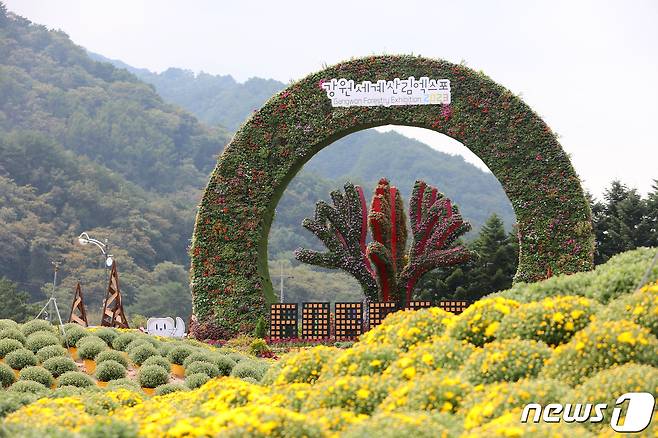 인제 가을꽃축제장.(인제군 제공) 2023.9.20/뉴스1