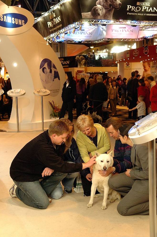 지난 2005년 세계적인 애견대회 '크러프츠 도그쇼'에 마련된 삼성 부스에서 관람객들이 진돗개를 살펴보는 모습ⓒ삼성