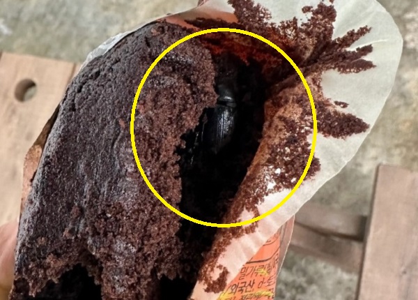 편의점 빵 안에서 풍뎅이로 추정되는 곤충이 발견됐다는 제보 사진. 온라인 커뮤니티 캡처