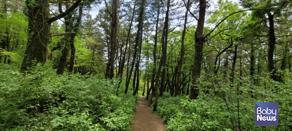 소산오름. ⓒ김재원