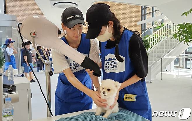 모델 이미선과 이엘린이 17일 반려마루에서 개들의 털을 말려주고 있다. ⓒ 뉴스1 최서윤 기자