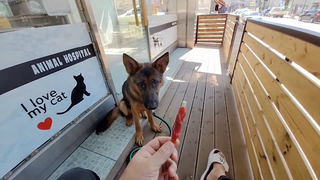 건강해진 모습의 짱이. 유튜브 ‘스나이퍼_안똘’ 갈무리.