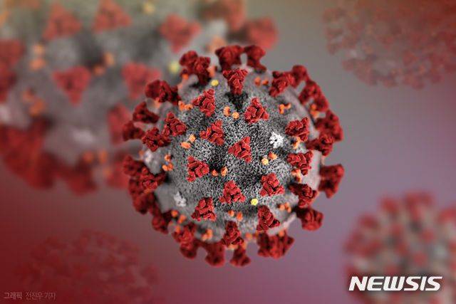 코로나19 바이러스. /뉴시스