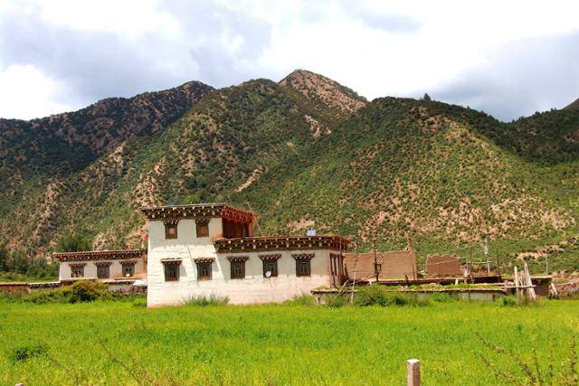 옌징에서 망캉 가는 길에서 본 칭커(청보리) 밭과 민가. ⓒ최종명