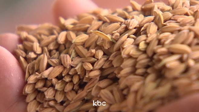 ▲ 자료이미지&nbsp;