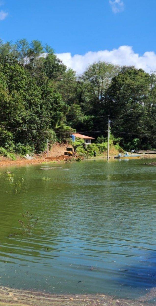 경북 안동시 임하면 노산리 한 농가 주변 농로와 전봇대 등이 침수되자 24일 오후 안동시가 중장비를 동원해 복구 작업을 하고 있다. /권광순 기자