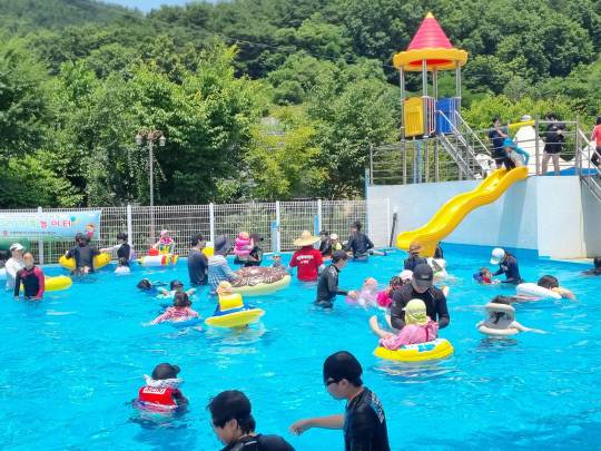 토요가족 지원 프로그램 모습.&nbsp;사진=세종시교육청 제공