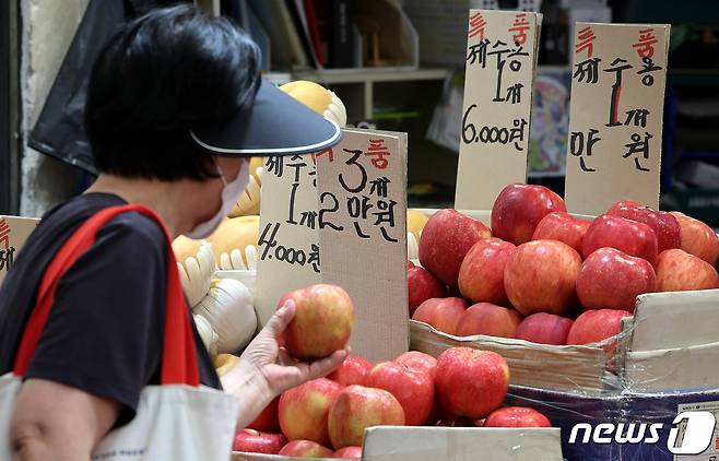 추석을 앞둔 24일 오후 서울 동대문구 경동시장을 찾은 시민이 사과를 구입하기 위해 둘러보고 있다. 2023.9.24/뉴스1 ⓒ News1 박지혜 기자