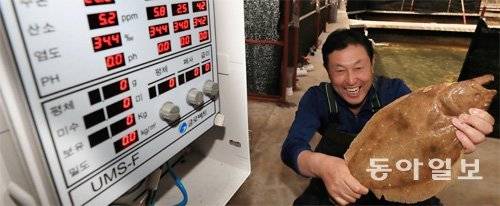 제주 서귀포시 대정읍 양식업체 유창영어조합법인의 김창협 대표가 스마트 양식으로 기른 광어를 들고 있다. 왼쪽은 양식 수조의 수온,
 용존산소농도, 염도 등을 센서로 체크해 실시간으로 보여주는 자동수질측정기다. 제주=전영한 기자 scoopjyh@donga.com