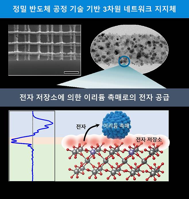 3차원 네트워크 구조의 산화물 반도체를 지지체로 사용한 수소생산 촉매.[KAIST 제공]