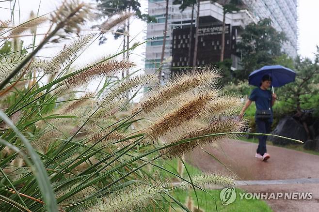 가을비 내리는 서울 [연합뉴스 자료사진]