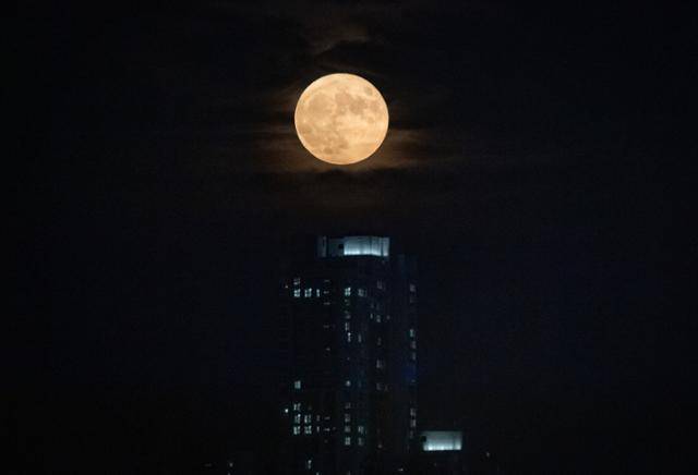 보름달처럼 익숙한 가족에게도 모르는 뒷면이 있다는 당연한 사실을 우리는 자꾸 잊고 살아간다. 뉴스1