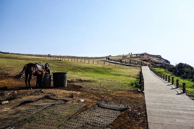 제주 올레 1-1 코스 / 사진=비짓제주