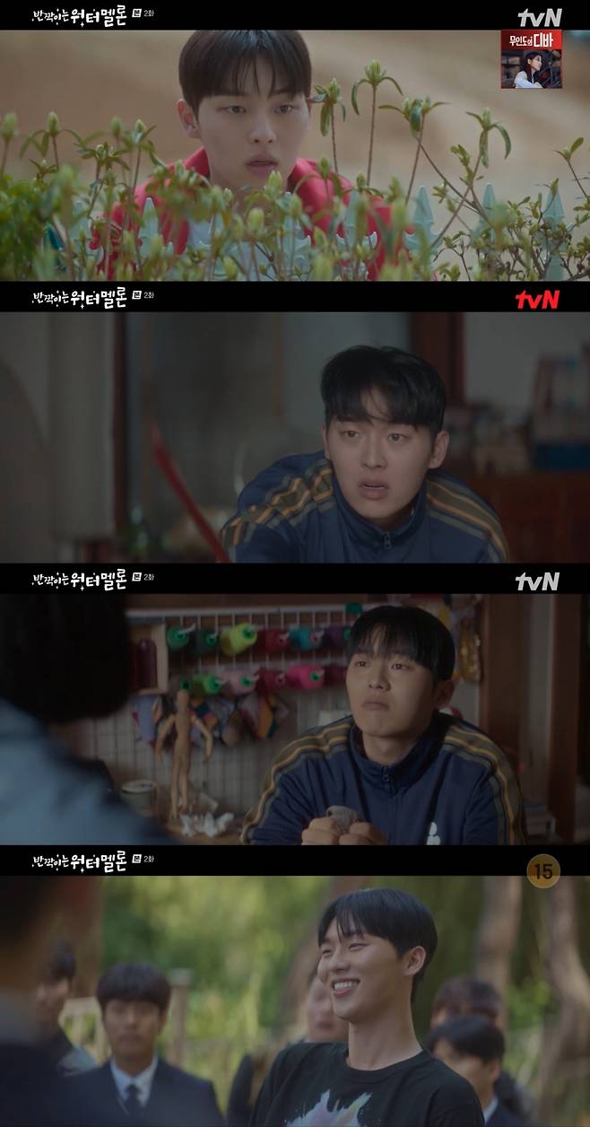 /사진=tvN '반짝이는 워터멜론'