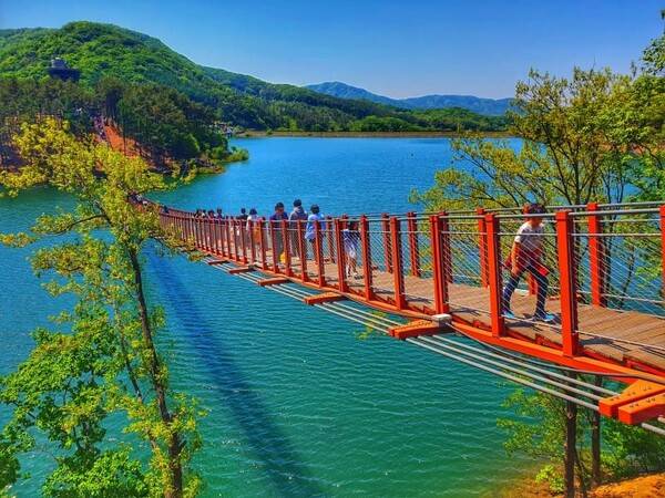 파주 가볼만한 곳 / 온라인 커뮤니티