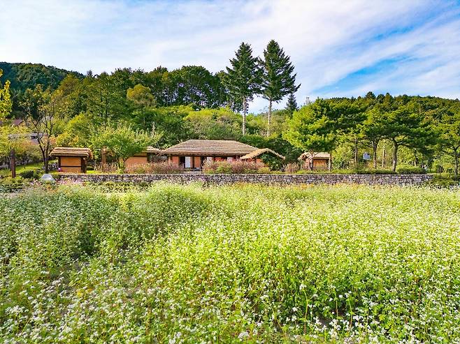 재현한 이효석 생가 [사진/백승렬 기자]