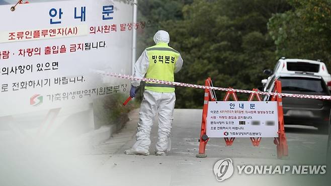 고병원성 AI 등 가축질병 방역 총력 (CG) [연합뉴스TV 제공]