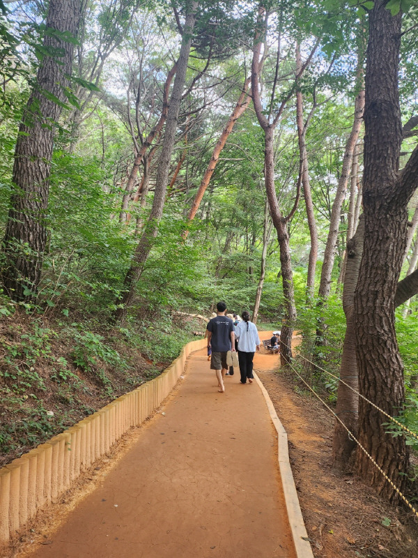 땅뫼산 산길을 맨발로 걷는 사람들.