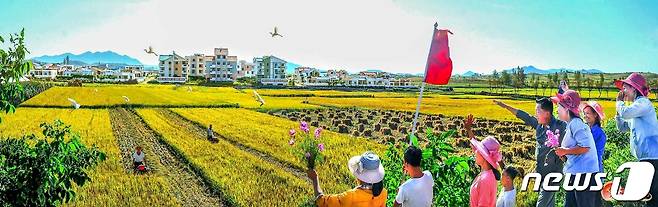 (평양 노동신문=뉴스1) = 북한 노동당 기관지 노동신문은 29일 "당중앙전원회의들의 사상과 정신을 높이 받들고 정주시 일꾼들과 농업근로자들이 올해 알곡 고지 점령을 위한 마지막 영농 작업인 가을걷이와 낟알털기에 역량과 수단을 총동원하고 있다＂고 보도했다. [국내에서만 사용가능. 재배포 금지. DB 금지. For Use Only in the Republic of Korea. Redistribution Prohibited] rodongphoto@news1.kr