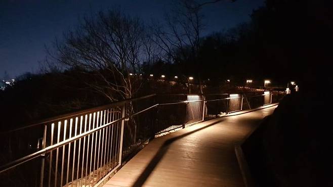 야간 산행을 돕기 위해 설치한 눈부심 방지 조명이 한적한 숲과 데크길을 밝히고 있다. 산림청 제공