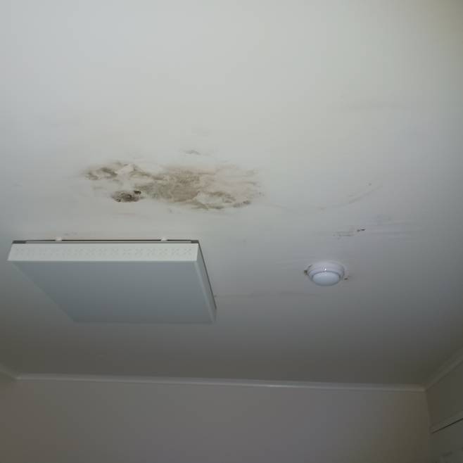 폭우로 생긴 아파트 천장 누수. (기사와 직접적인 관련 없음) [독자 제공]