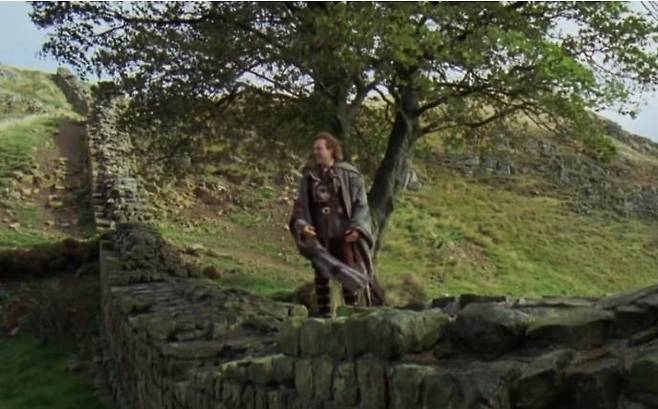 영화 '로빈 후드'에 나온 플라타너스  ['엑스(X)' 캡처. 재판매 및 DB 금지]