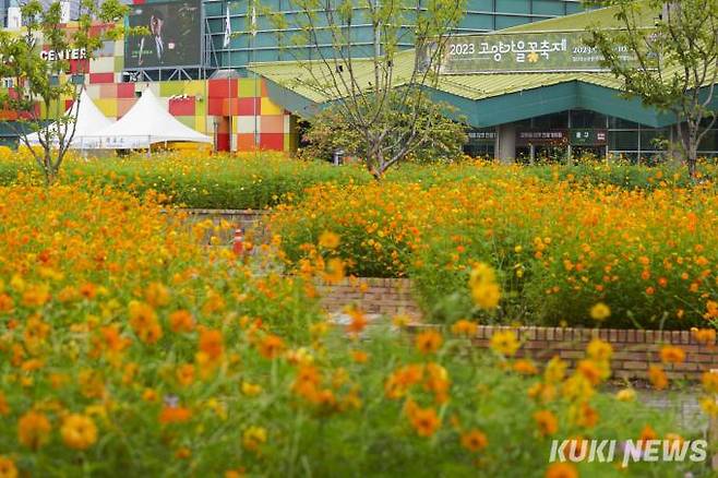 27일 경기 고양시 일산호수공원에서 '2023 고양가을꽃축제'가 개막했다.