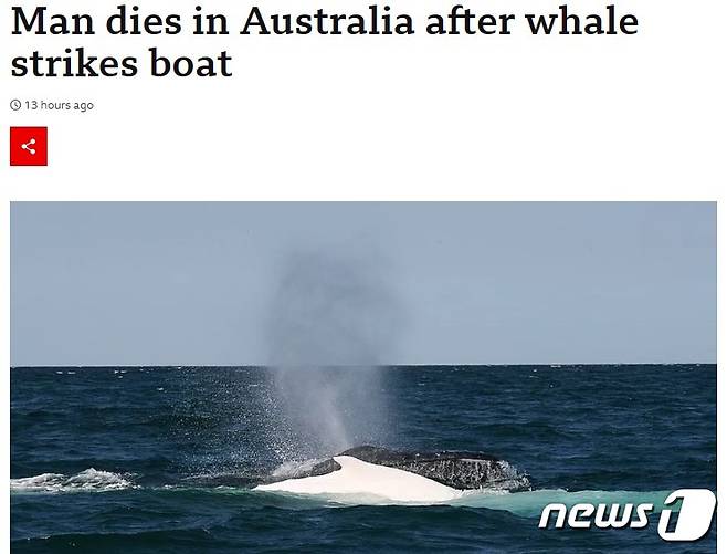 해당 기사 - BBC 갈무리