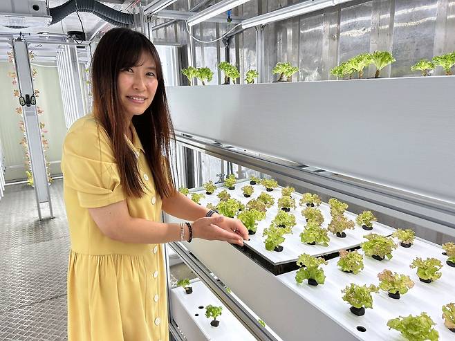 전정욱 도시농사꾼 대표가 잎채류 스마트팜 재배 공간에서 물과 영양분을 자동으로 공급해주는 시스템을 설명하고 있다./이신혜 기자
