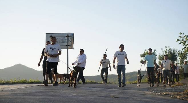 멧돼지 소탕에 나선 중국 주민들. 그러나 현실적 한계로 동원할 수 있는 사냥도구가 제한적이어서 사냥개들만 다치고 말았다고 차이신은 보도했다./사진=차이신