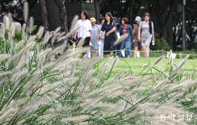 하루 최소 20분 혹은 일주일에 2시간을 자연에서 보낸다면, 그렇지 않은 사람들보다 훨씬 더 행복감을 느끼고 삶에 만족하며 살 수 있다. 동아일보 DB