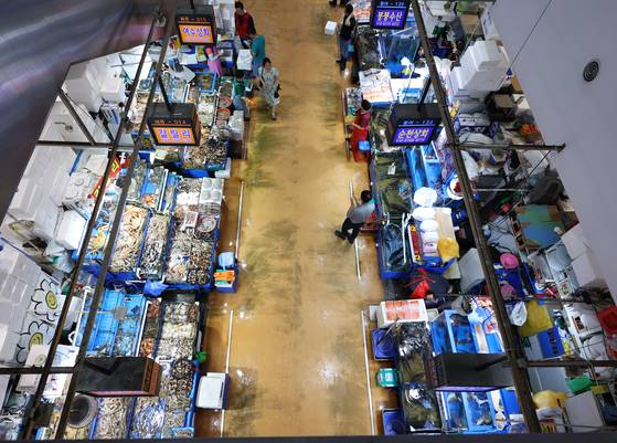 일본 후쿠시마 원전 방사능 오염수 방류 후 첫 주말인 지난 8월 27일 서울 동작구 노량진수산시장에서 상인이 손님을 기다리고 있다. 뉴스1