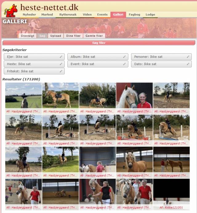 헤스테-네테트의 말 커뮤니티 모습. 홈페이지 갈무리