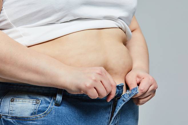 내장비만은 지방이 내장에 쌓이는 현상을 말하며, 질환명은 복부비만이다. [사진= 게티이미지뱅크]