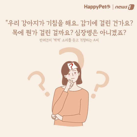 강아지 호흡기 질환 펫카드