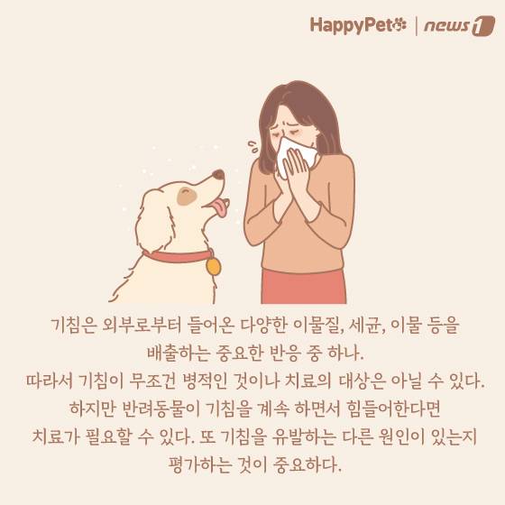 강아지 호흡기 질환 펫카드