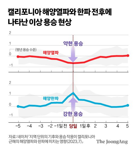 정근영 디자이너