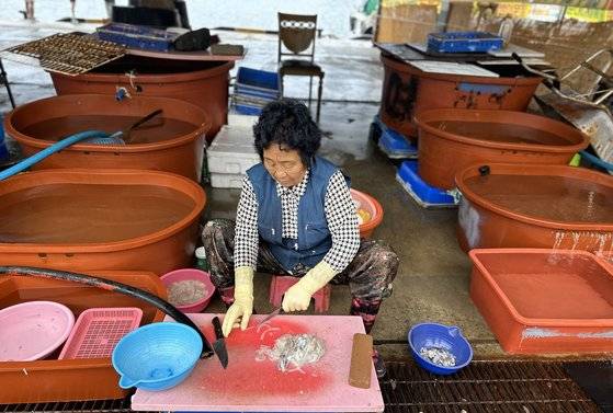 울릉도 어획량 감소로 인해 저동항 어판장의 수조가 텅 비어 있다. 천권필 기자