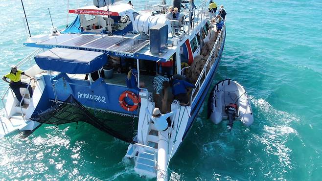 서호주 샤크베이에서 해초 복원을 위해 모래주머니를 바다에 넣고 있다. 사진 신예민 프리랜서 촬영감독