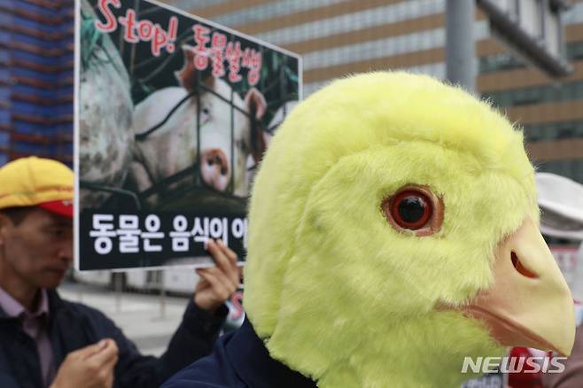 [서울=뉴시스] 최동준 기자 = 한국동물보호연합이 4일 서울 광화문 광장에서 세계 동물의 날을 맞아 기자회견을 열고 동물복지, 동물권리, 채식을 촉구하고 있다. 2023.10.04. photocdj@newsis.com