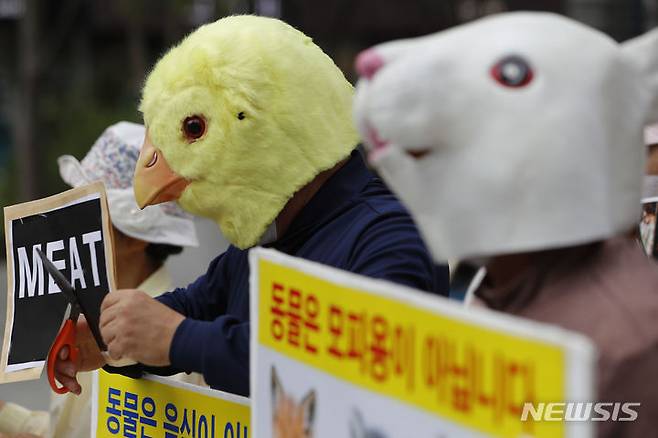 [서울=뉴시스] 최동준 기자 = 한국동물보호연합이 4일 서울 광화문 광장에서 세계 동물의 날을 맞아 기자회견을 열고 동물복지, 동물권리, 채식을 촉구하고 있다. 2023.10.04. photocdj@newsis.com