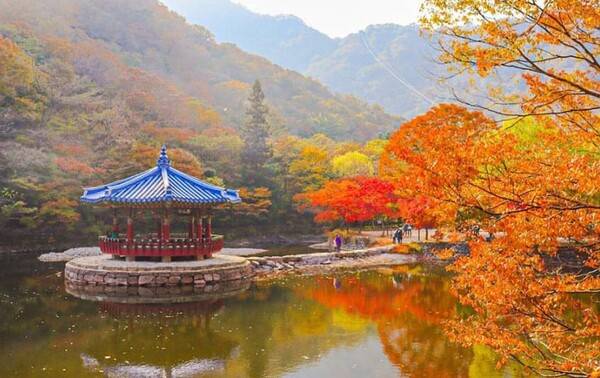 정읍 내장산 / 한국관광공사