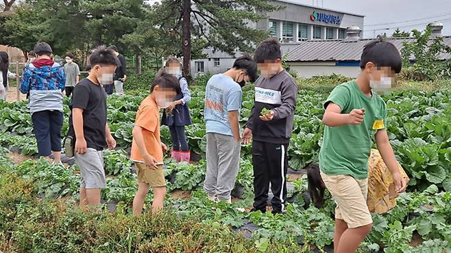 [전주MBC 자료사진]