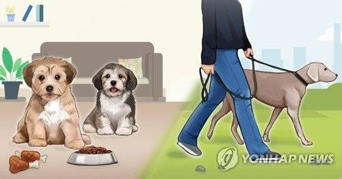 연합뉴스 제공